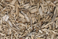 biomass boilers Sandpit