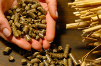 free Sandpit biomass boiler quotes